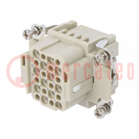 Connector: HDC; contact insert; female; DDD; PIN: 24; 24+PE; crimped