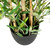 Kunstpflanze / Kunstbaum MINI BAMBUS Kunststoff grün hjh OFFICE