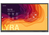 Newline Lyra pizarra blanca interactiva 165,1 cm (65") 3840 x 2160 Pixeles Pantalla táctil Negro