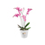 elho green basics orchid 17cm Indoor/Outdoor Topfpflanzer Freistehend Polypropylen (PP) Transparent