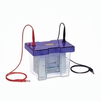 Elektrophoresekammer omniPAGE TETRAD Mini-Set | Typ: omniPAGE TETRAD Mini-Set