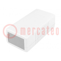 Enclosure: with panel; X: 60mm; Y: 120mm; Z: 40mm; ABS; light grey