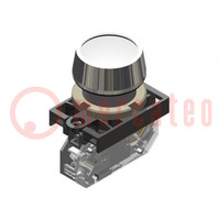 Controlelampje; 22mm; NEK22; -15÷30°C; Achtergrondver: LED; IP65