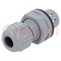 Cable gland; IP68; polyamide; dark grey; push-in; SKINTOP® CLICK