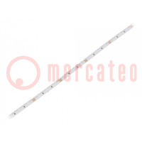 LED strips; koud wit; 3014; 24V; LED/m: 120; 6mm; witte PCB; IP20