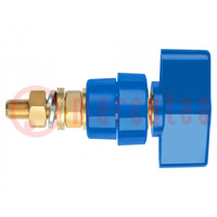 Laboratory clamp; blue; 1kVDC; 100A; on panel,screw; brass; 81mm