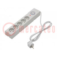 Plug socket strip: protective; Sockets: 5; 250VAC; 10A; grey; 1.5m