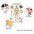 Akupunktur Mini-Poster Anatomie 34x24 cm medizinische Lehrmittel, Laminiert