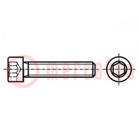 Schroef; M8x30; 1,25; Kop: cilinder; binnenzeskant; HEX 6mm; staal