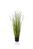 Artificial Dogtail Grass - 52cm, Green