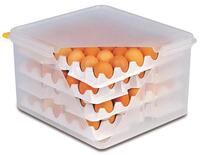 APS 82420 10 Lagen zu Eier-Box