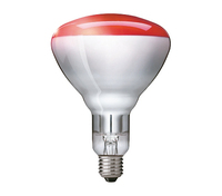 Philips 923212043801 infrarode lamp 250 W Peer