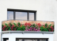 Maximex Balkon-Sichtschutz mit farbenfrohem Mauerblumen-Motiv, 5 m, schnell trocknender Sichtschutz mit farbenfrohem Mauerblumen-Motiv, UV- und witterungsbeständig, 5 m