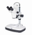 Stereomicroscopio digitale DM-143-FBGG Tipo DM-143-FBGG-C
