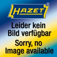 Warnschild Hybrid-Schalter Hazet 200-2