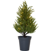 Star Trading Thuja