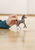 schleich HORSE CLUB 13957 Kinderspielzeugfigur