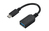Fujitsu S26391-F6058-L100 USB Kabel USB C USB A Schwarz