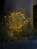 Konstsmide 6597-879CH lumière décorative Guirlande lumineuse décorative 100 ampoule(s) LED 2,7 W