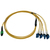 Tripp Lite N390X-01M-8L-AP cavo a fibre ottiche 1 m MPO/MTP 4x LC OFNR OS2 Nero, Blu, Verde, Giallo
