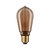 Dekorative LED Edisonlampe ST64 INNER GLOW SPIRAL, E27, 3.6W 1800K 120lm, dimmbar, Goldglas