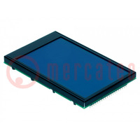 Display: LCD; graphical; 240x128; STN Negative; blue; 113x70mm