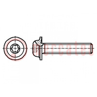 Screw; with flange; M5x30; 0.8; Head: button; Torx®; TX25; steel
