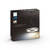 Philips Hue White ambience Being pendant light