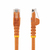StarTech.com 3m CAT6 Ethernet Cable - Orange CAT 6 Gigabit Ethernet Wire -650MHz 100W PoE RJ45 UTP Network/Patch Cord Snagless w/Strain Relief Fluke Tested/Wiring is UL Certifie...