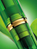 Pelikan Souverän 800 Green Demonstrator vulpen Cartridgevulsysteem Goud, Groen 1 stuk(s)