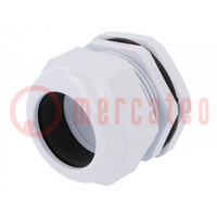 Cable gland; PG42; IP67; polyamide; grey