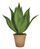 Artificial Succulent in Clay Pot - Succulent Plant 35cm