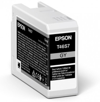 Epson UltraChrome Pro nabój z tuszem 1 szt. Oryginalny Szary