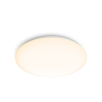 Philips Functional Moire Ceiling Light 20 W