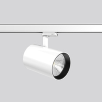 RZB DEECOS S maxi Schienenlichtschranke Weiß LED