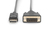 Digitus Cable adaptador DisplayPort, DP a DVI-D
