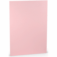 Briefpapier A4 100g/qm Flamingo