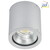 LED Außendecken-Strahler Typ Nr. 2380, 12W 1200lm, Silber matt