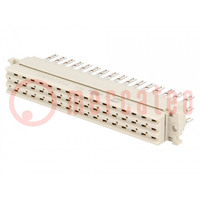 Plug; DIN 41612; type F; female; PIN: 48; d+b+z; for cable; straight