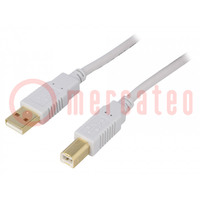 Cable; USB 2.0; USB A plug,USB B plug; gold-plated; 5m; grey