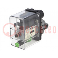 Module: pressure switch; pressure; OUT 1: relay,SPDT; 240VAC/1.5A