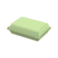 Artikelbild Meal box "ToGo" XL, without dividers, gregarious green