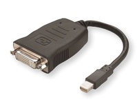AMD 199-999365 Videokabel-Adapter Mini DisplayPort DVI Schwarz