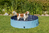 TRIXIE Dog Pool