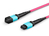 Lanview LVO230405-MTP cable de fibra optica 5 m OM4 Violeta