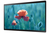 Samsung QB24R-TB Pannello piatto interattivo 60,5 cm (23.8") LCD Wi-Fi 250 cd/m² Full HD Nero Touch screen Tizen 4.0 16/7