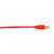 BBXCONN CAT6 PATCH CBL-UTP PVC SNAGLESS RED 4 FT Sieciowe kable