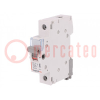 Switch-disconnector; Poles: 1; for DIN rail mounting; 32A; 250VAC