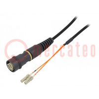 Fiber patch cord; PIN: 2; multi mode duplex (MM); bayonet; LC