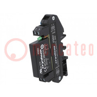 Relay: solid state; Ucntrl: 15÷32VDC; 5A; 48÷380VAC; -30÷80°C; IP00